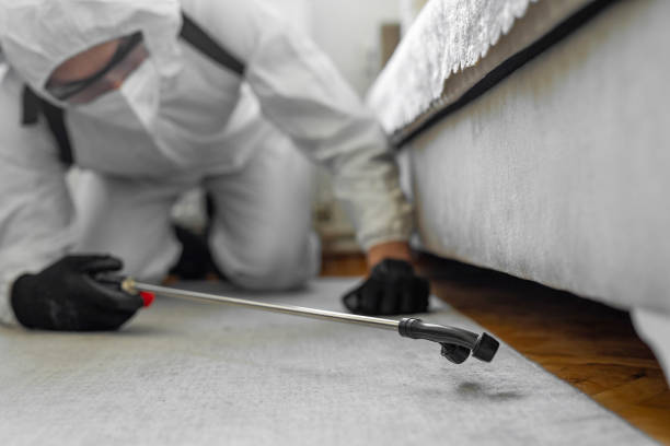 Professional Termite Control technician working in Needles, CA